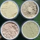 SENSITIVE SKIN REGIMEN BOX SENSITIVE SKIN REGIMEN BOX