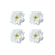 NARA 10ml