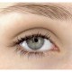 Mineral Eyeshadow Mineral Eyeshadow