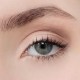 Eyeshadow Duo #142 Vanilla Latte & Obvious Eyeshadow Duo #142 Vanilla Latte & Obvious