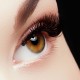 beMineral LashExtender beMineral LashExtender