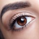 beMineral Eyeshadow Mat beMineral Eyeshadow Mat